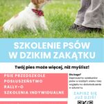 Szkolenie psów